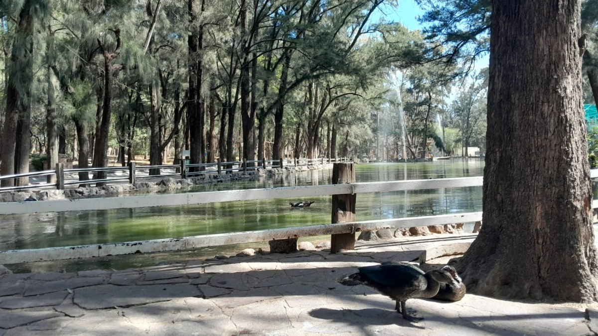 Reitera alcaldesa compromiso de que el Zoológico de León esté entre los mejores del país