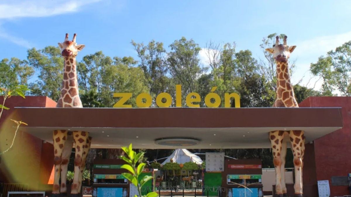 En medio de la polémica: Presentan demanda de amparo contra el Zoológico de León