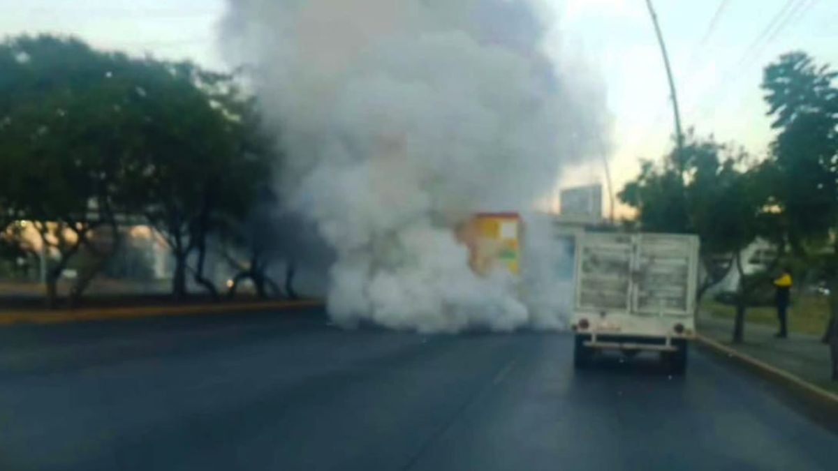 VIDEO Ardió en llamas: Camión repartidor de botanas se incendia en pleno bulevar