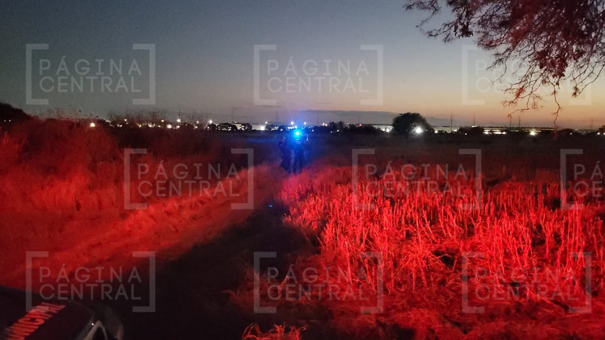 Caminaban entre la parcela y hallaron el cuerpo de una persona en estado de descomposición