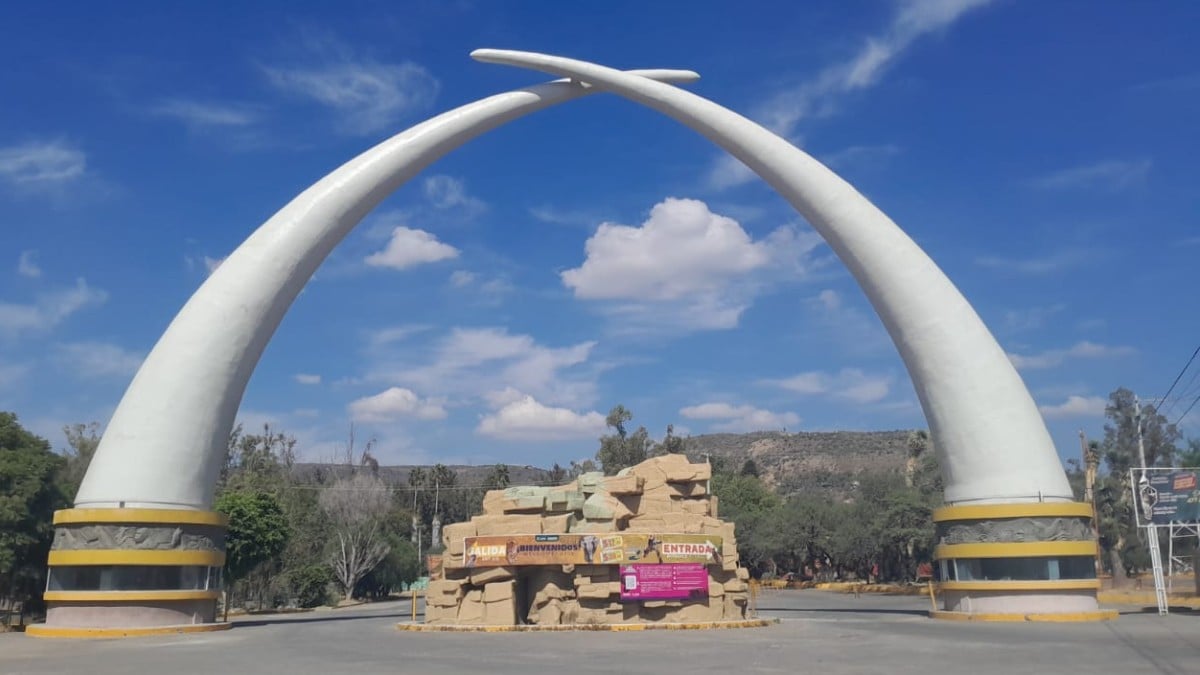 ¿Está en riesgo el ZooLeón? Esto se sabe tras el amparo promovido por una asociación civil