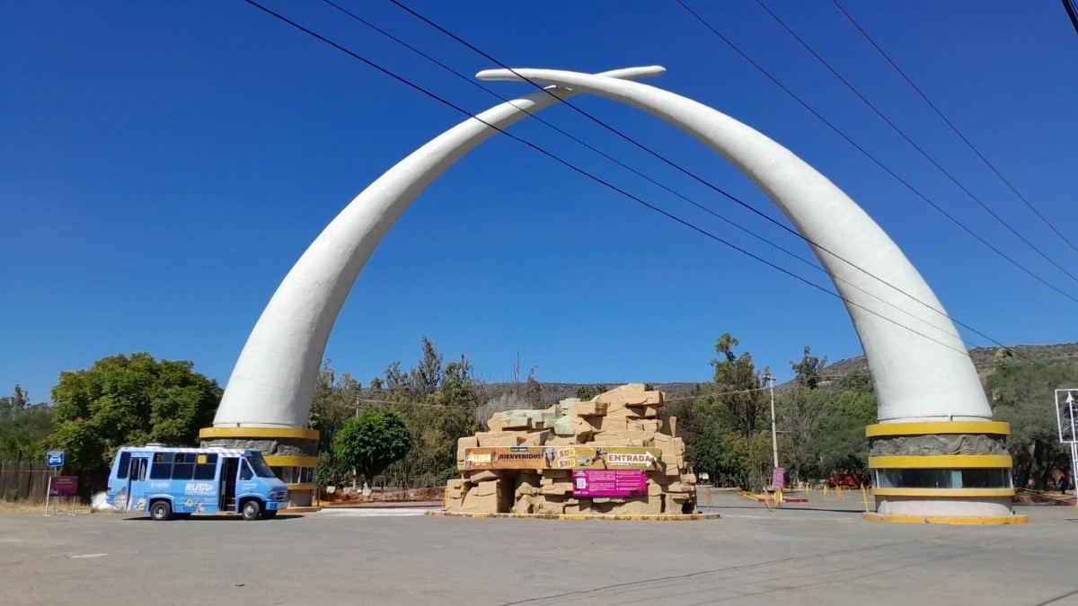 Atiende Municipio de León informe sobre Zoológico de León tras demanda de sociedad civil