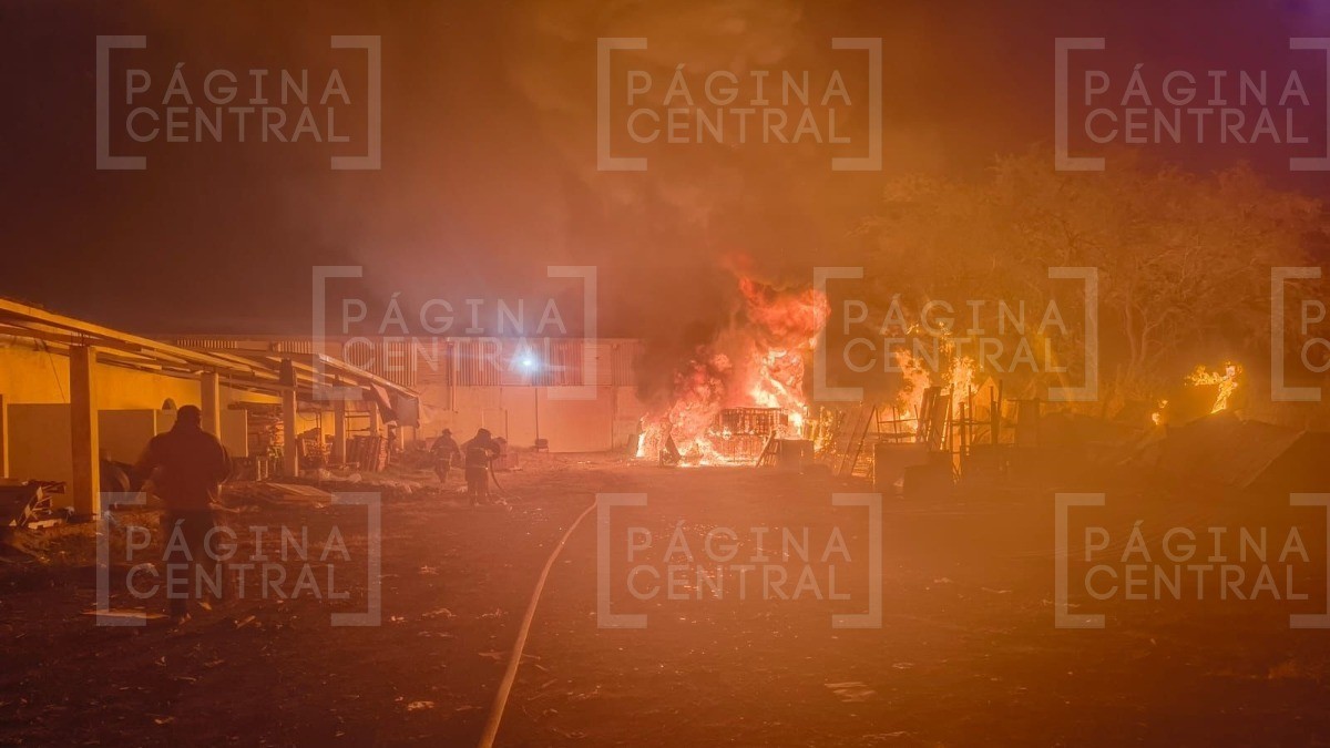 ¡Fuego! Incendio en esta recicladora de madera moviliza a Bomberos de León