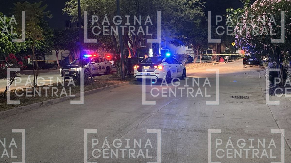 Chocó contra palmera: Muere motociclista tras accidente en León