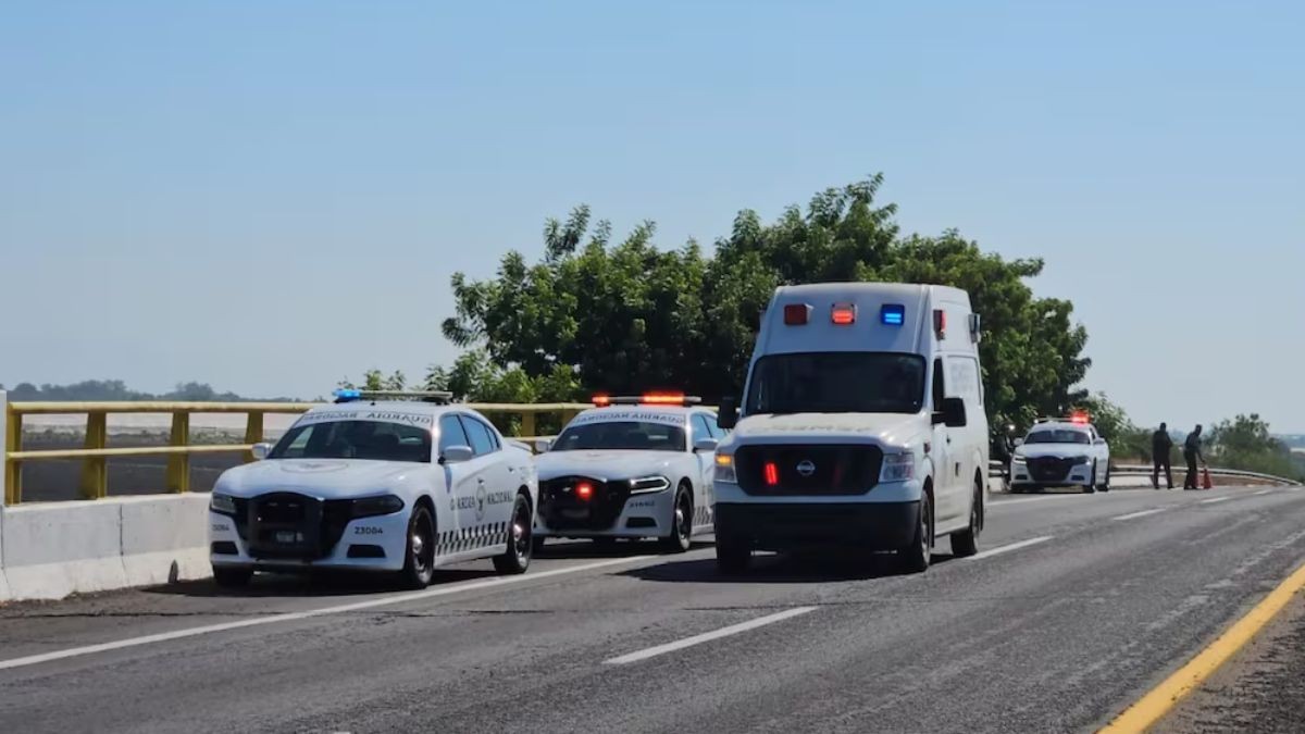 En pleno libramiento: Abandonan hieleras con restos humanos 