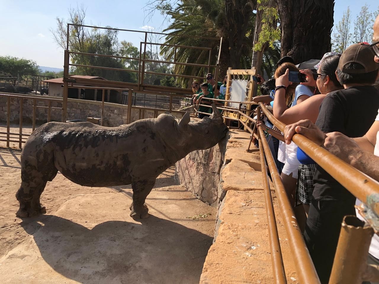 ¿El Zoológico de León estará abierto en esta temporada vacacional?