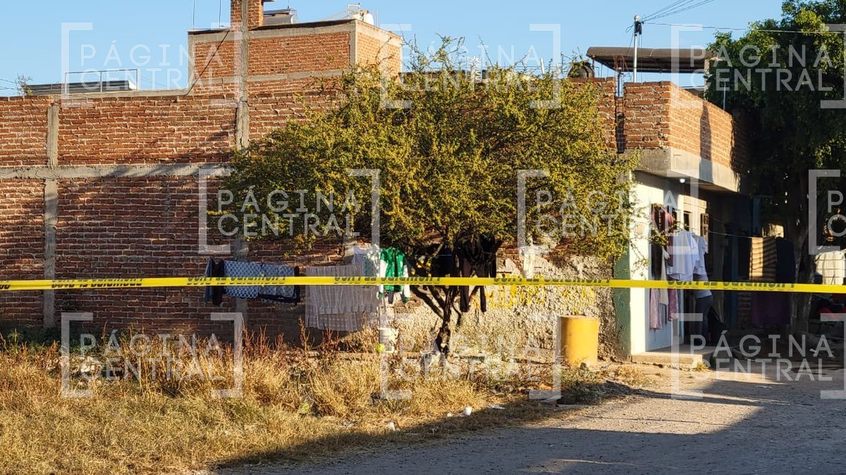 ¡Cierre total! Despliegan operativo y cateo en esta colonia de León