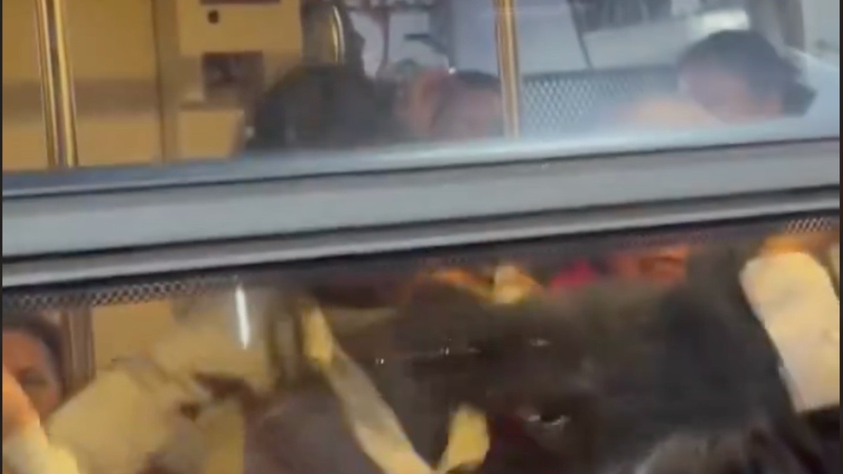 VIDEO ¡Por un asiento! Se van a los golpes mujeres en el transporte público