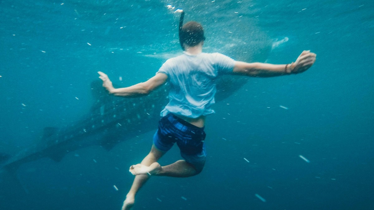 ¡De película! Muere turista extranjero tras ataque de tiburón en playas mexicanas