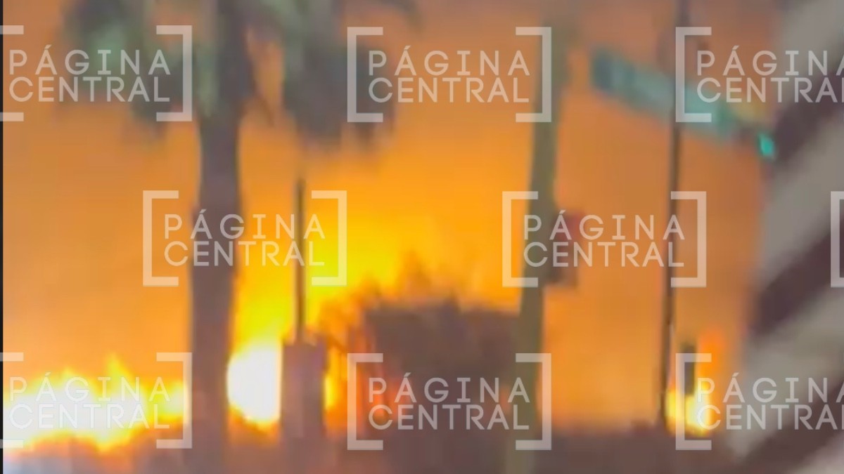 VIDEO ¡Ardieron más de 5 hectáreas! Se registra incendio de pastizal en Cerro Gordo