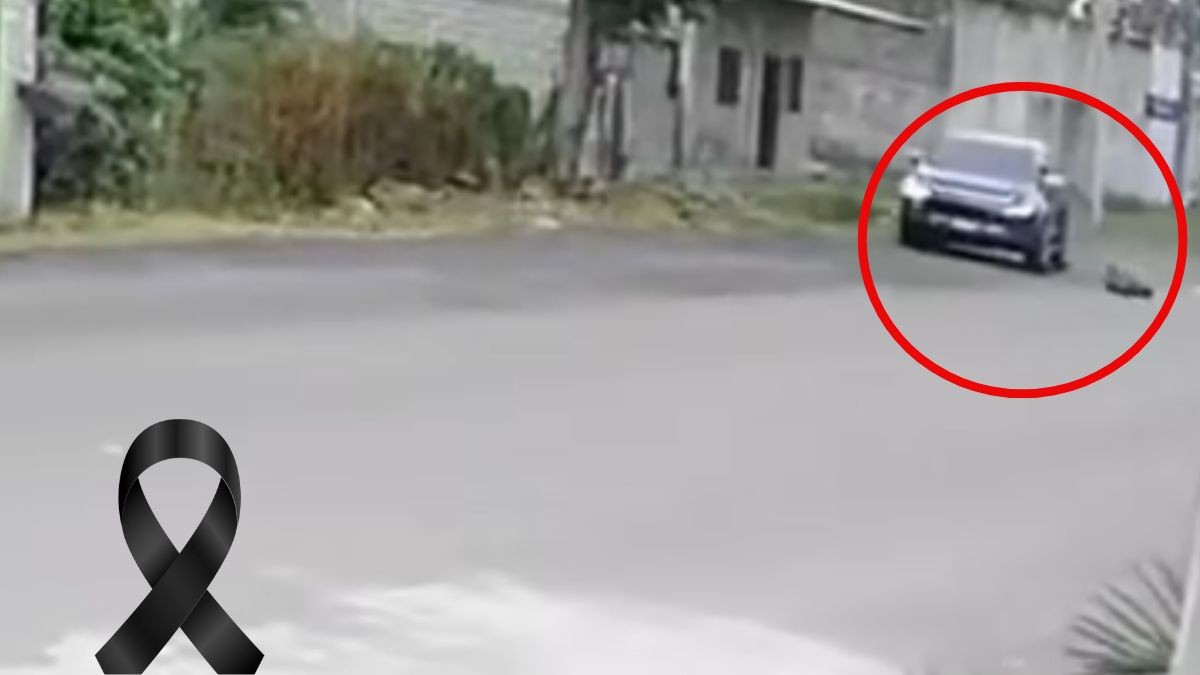 VIDEO Conductor huyó: Camioneta a toda velocidad arrolla y mata a niño de 7 años 