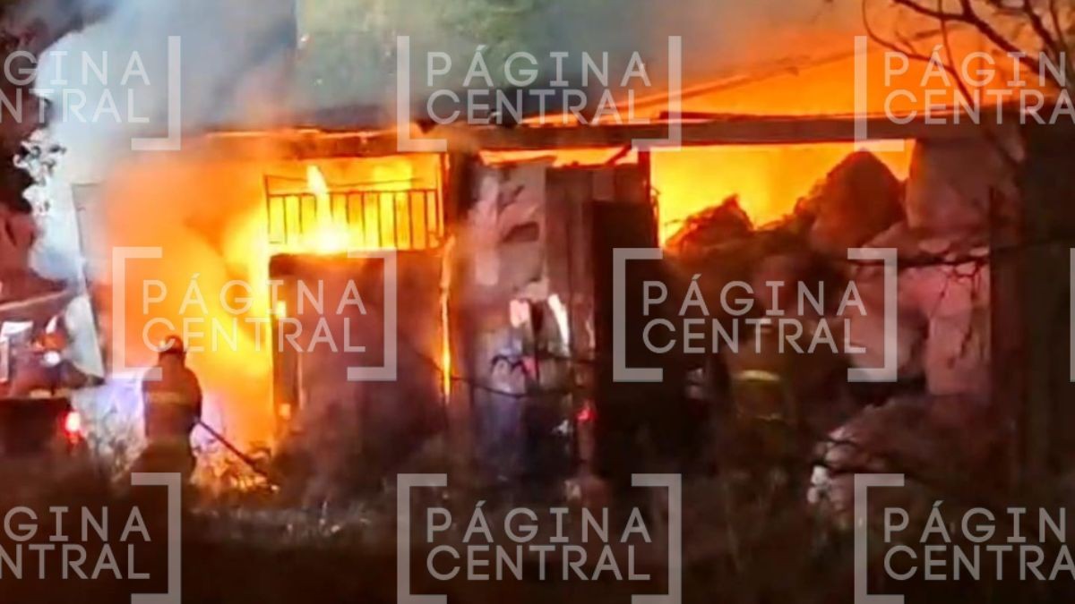 ¡Llamas alcanzan 3mts de altura! Incendio consume recicladora, en León