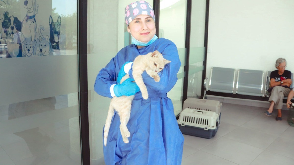 Alcanza Hospital de Mascotas cifra récord de atenciones en solo seis meses
