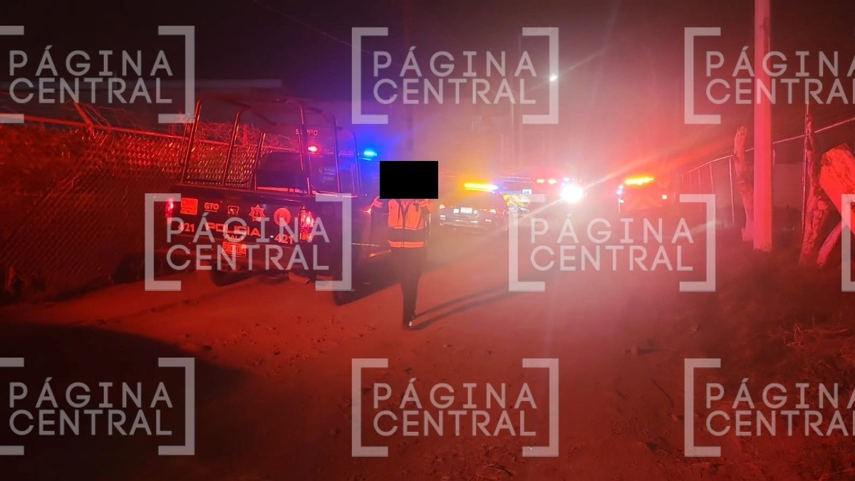 ¡Llamas consumieron camiones! Fuerte incendio en empresa sobre Campos Primaveras