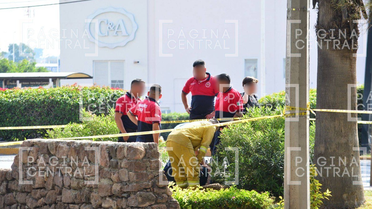 Jardinero encuentra cuerpo en cisterna de la Julián de Obregón; ¡Así fue el hallazgo!