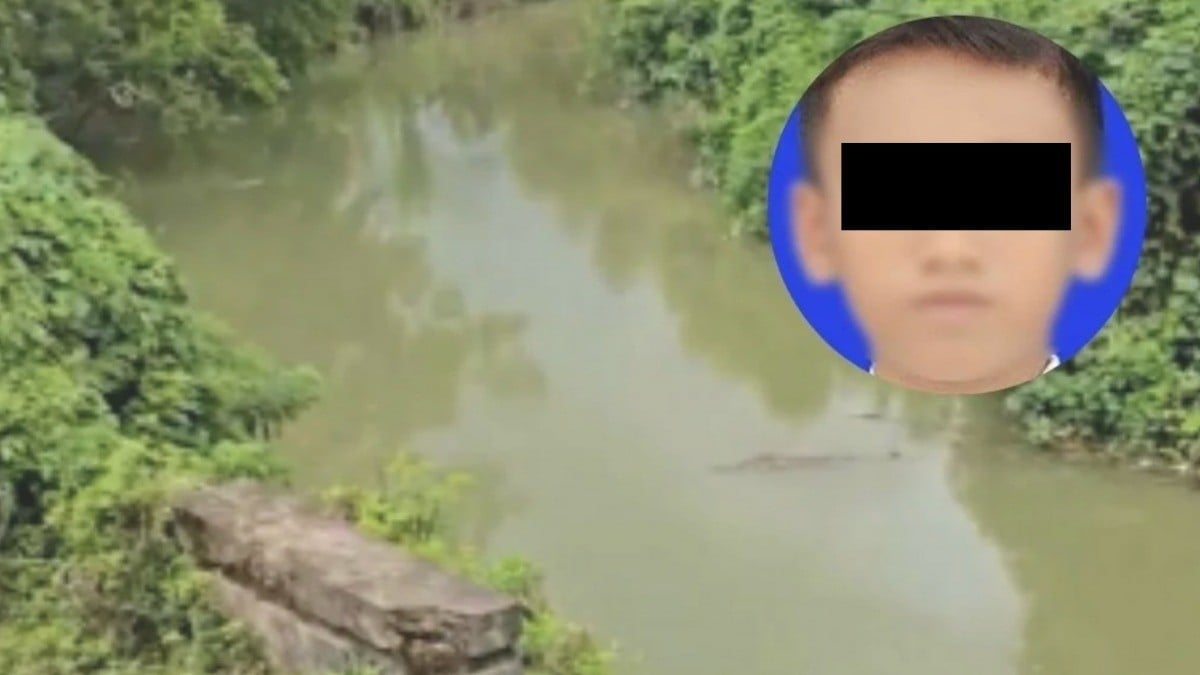 Frente a su hermano y amigos: Cocodrilo ataca y mata a pequeñito en un río