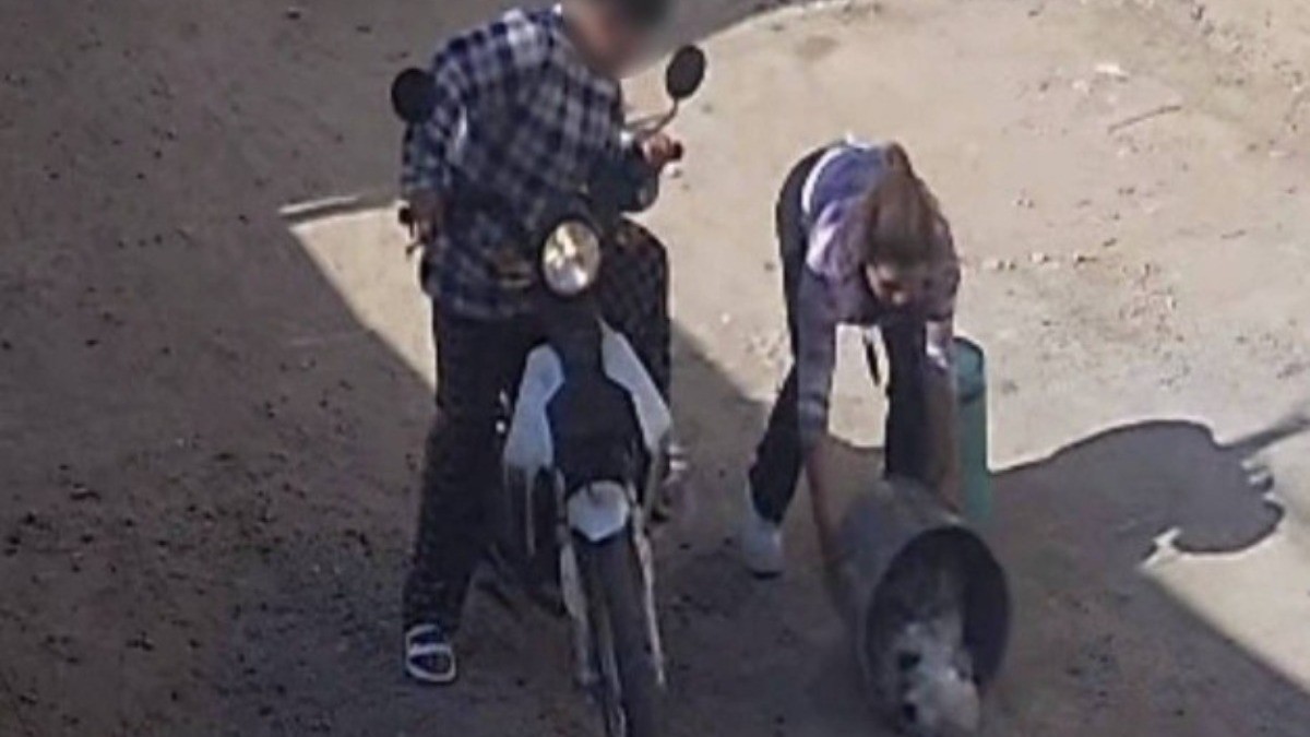 Gaticos AC denuncia ante la fiscalía cruel abandono de un gatito en esta colonia de León