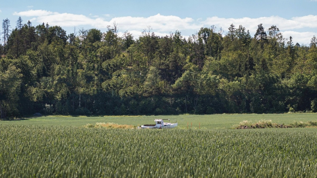 ¡Tragedia aérea! Cae avioneta deja heridos y severos daños