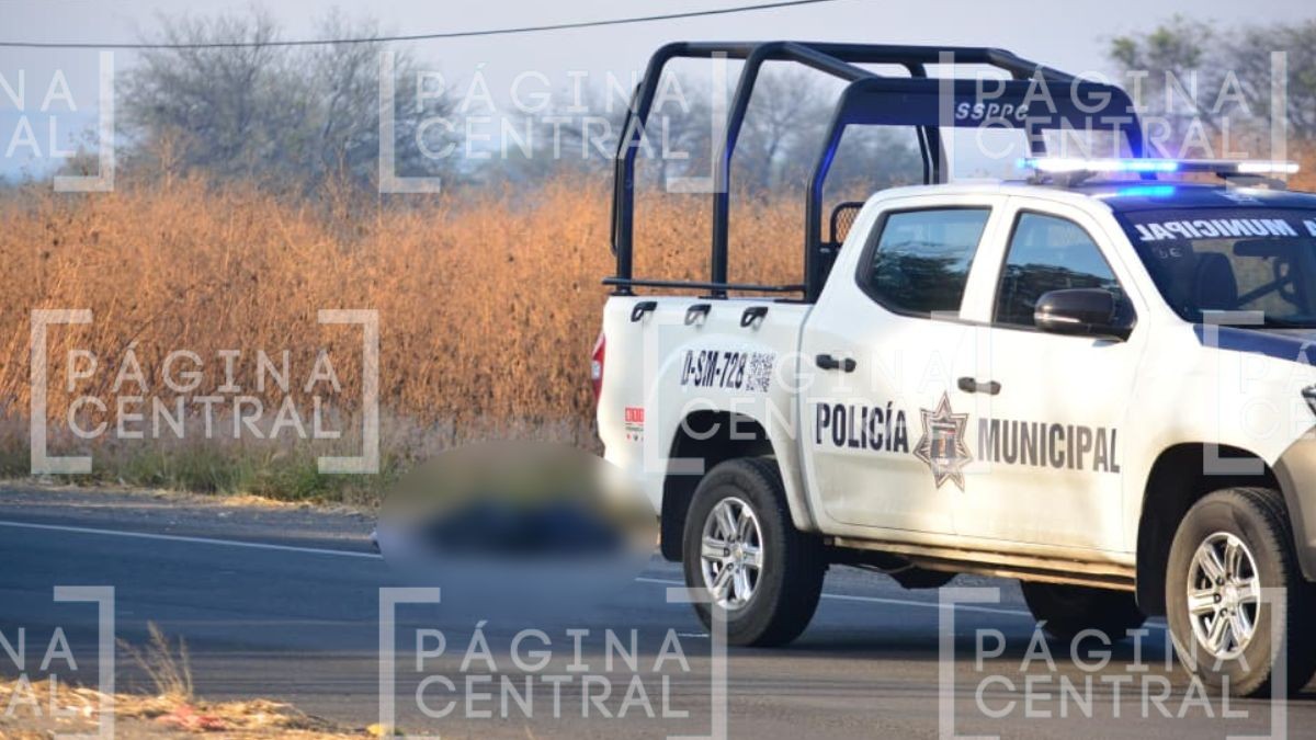 VIDEO Fue atropellado: Localizan a hombre sin vida en plena carretera