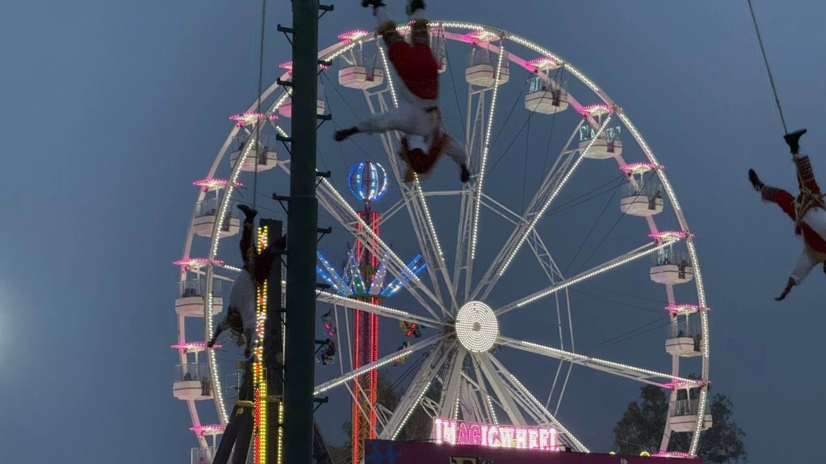 ¡Ay Papantla, tus hijos vuelan! Asombra tradición en Feria de León 2026