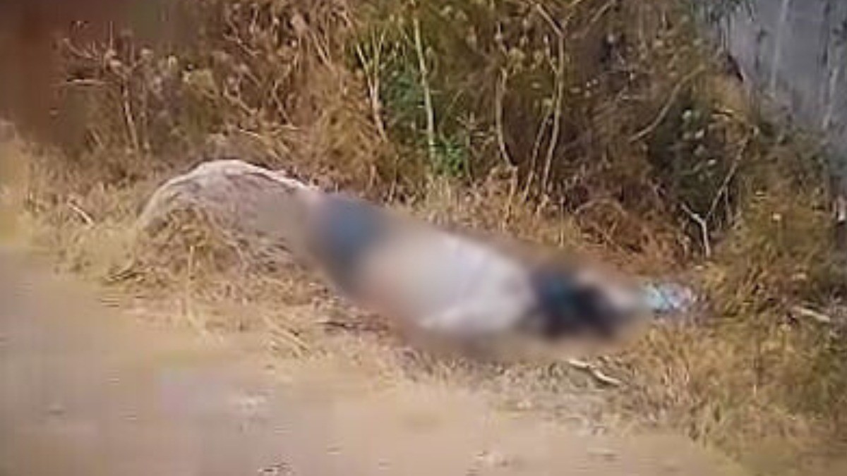 ¡Espeluznante hallazgo! Abandonan cuerpo maniatado en pastizal de esta comunidad de León