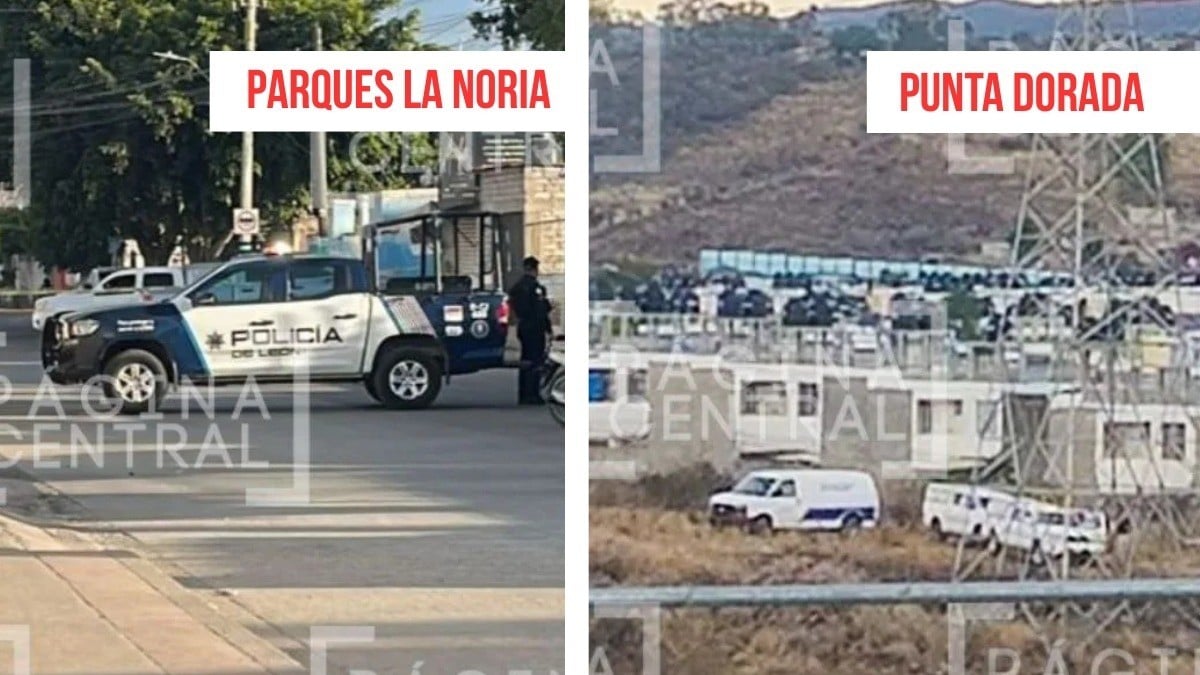 Cabeza hallada en Parques la Noria y cuerpo en Punta Dorada serían de la misma persona