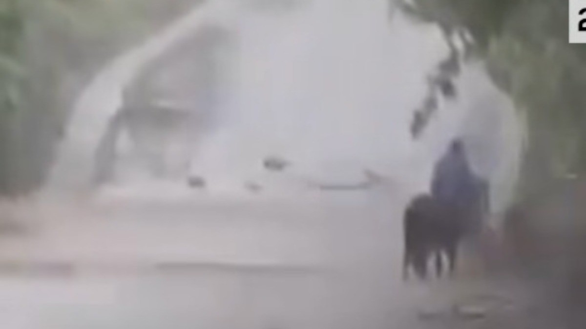 VIDEO ¡Animal presintió el peligro! Caballo y dueño 'son devorados' por río desbordado