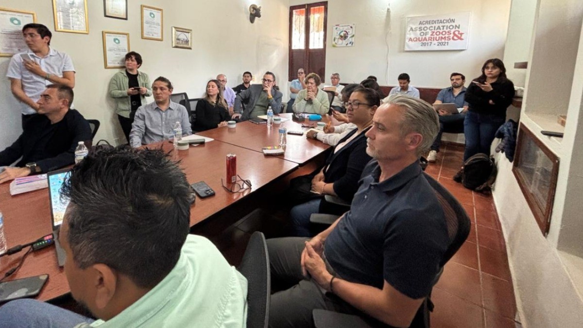 Posponen ratificación del nuevo director del Zoológico de León por presuntas anomalías