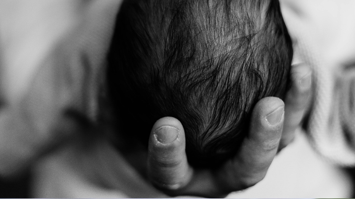 ¿Cuándo hacer la cartita a la cigüeña? Harvard estudió cuando nacen los bebés más inteligentes