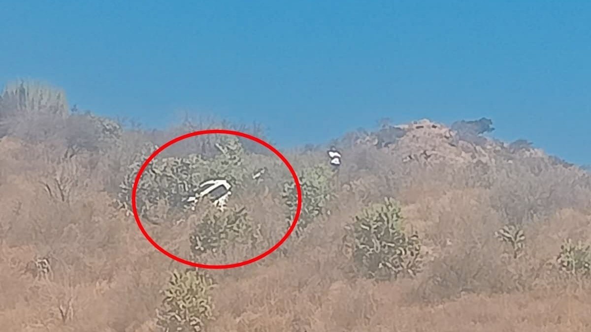 Auto se va al barranco en camino al Ojo de Agua; árboles frenan caída y evitan tragedia