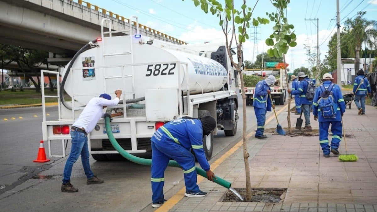 ¡Árboles gratis en León! Vivero Municipal invita a ciudadanos a reforestar la ciudad