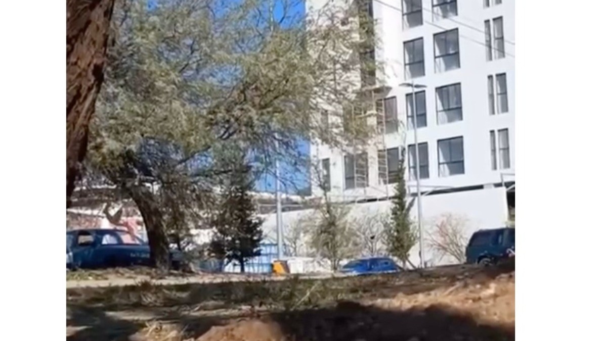 VIDEO “¡Estoy muy asustada!”; Mujer graba con terror balacera afuera de Walmart