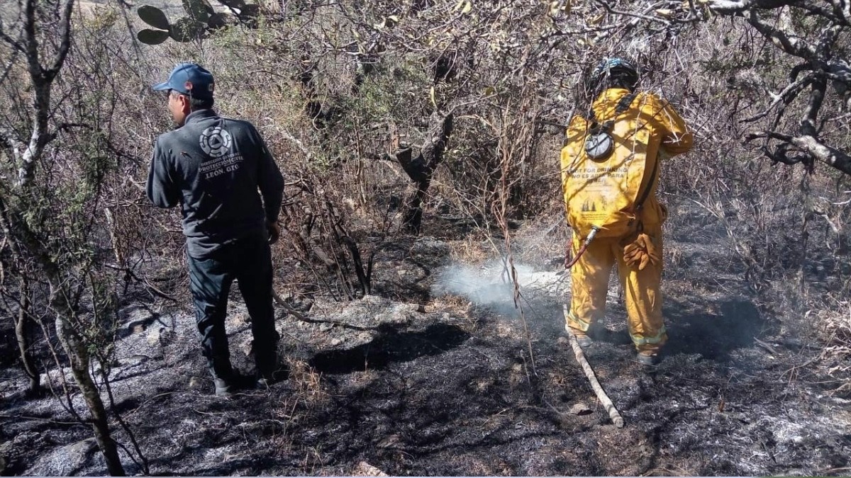¿Arde León, qué está pasando? Por esta razón aumentaron los incendios