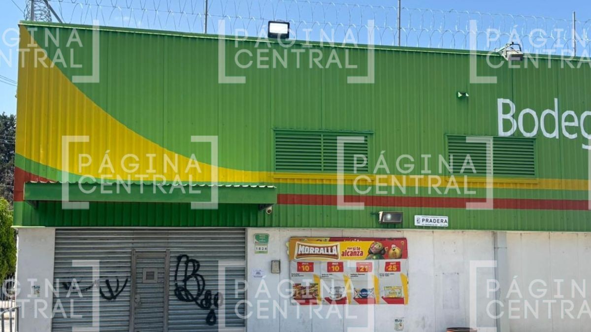 Aterroriza violencia: Cierran plazas, tiendas y espacios públicos en León