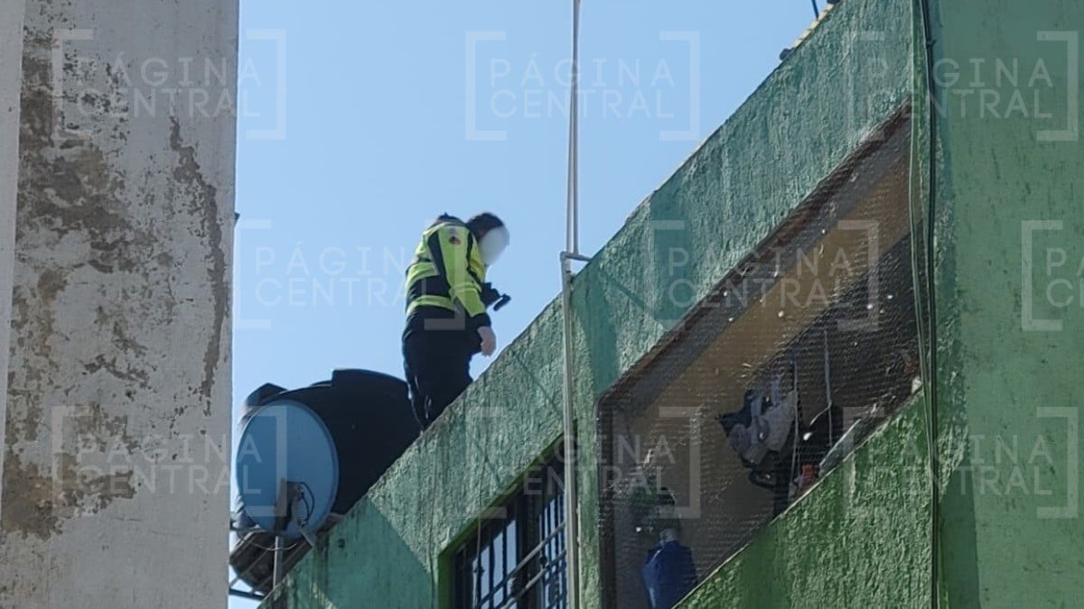 Abuelito subió a la azotea a conectar la bomba del agua, se sintió mal y ahí mismo murió