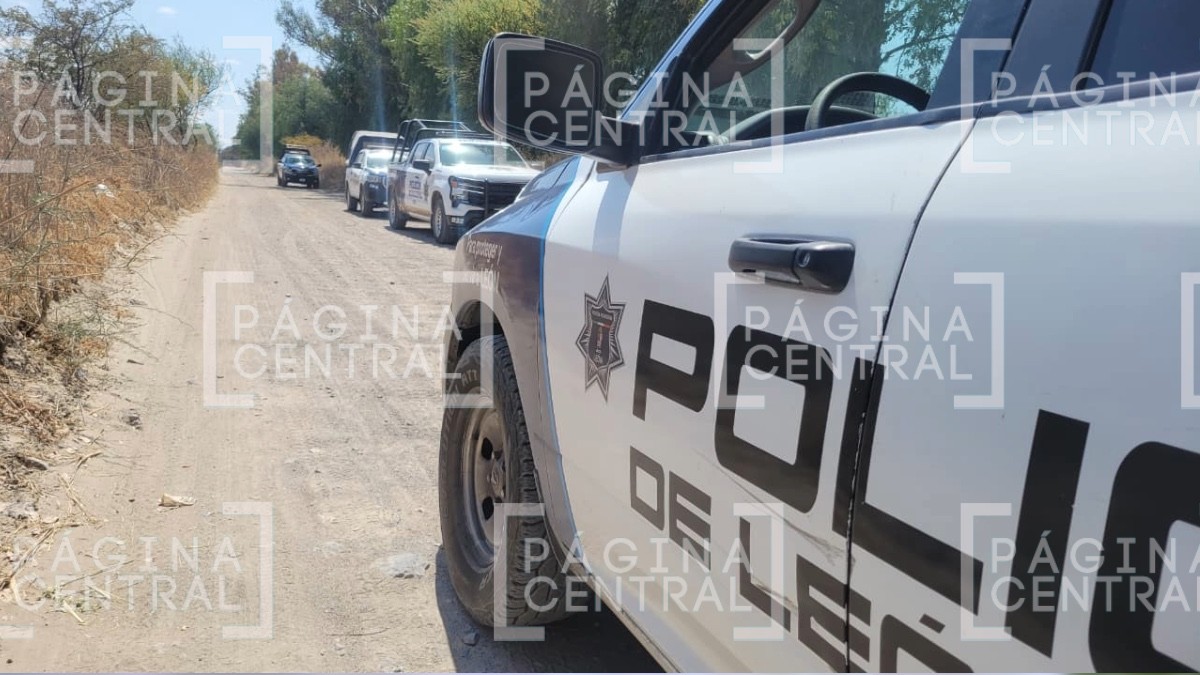 VIDEO ¡Macabro hallazgo! Encuentran restos óseos al sur de León