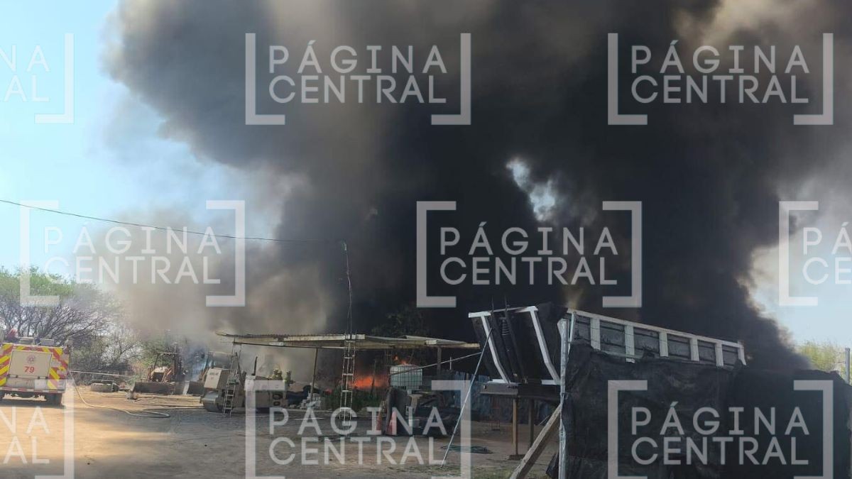 Fuego consume llantas y autos: Incendio de pastizal se extiende a recicladora en León