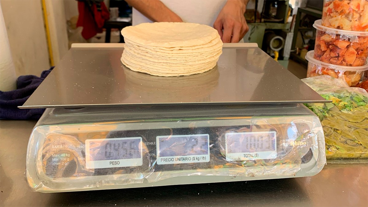 ¿El precio de la tortilla en León se mantiene en 22 pesos? Esto dicen las autoridades