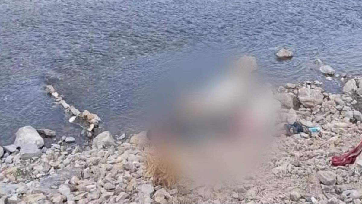 Tenían heridas de bala: Cuatro hombres son localizados sin vida en plena carretera 