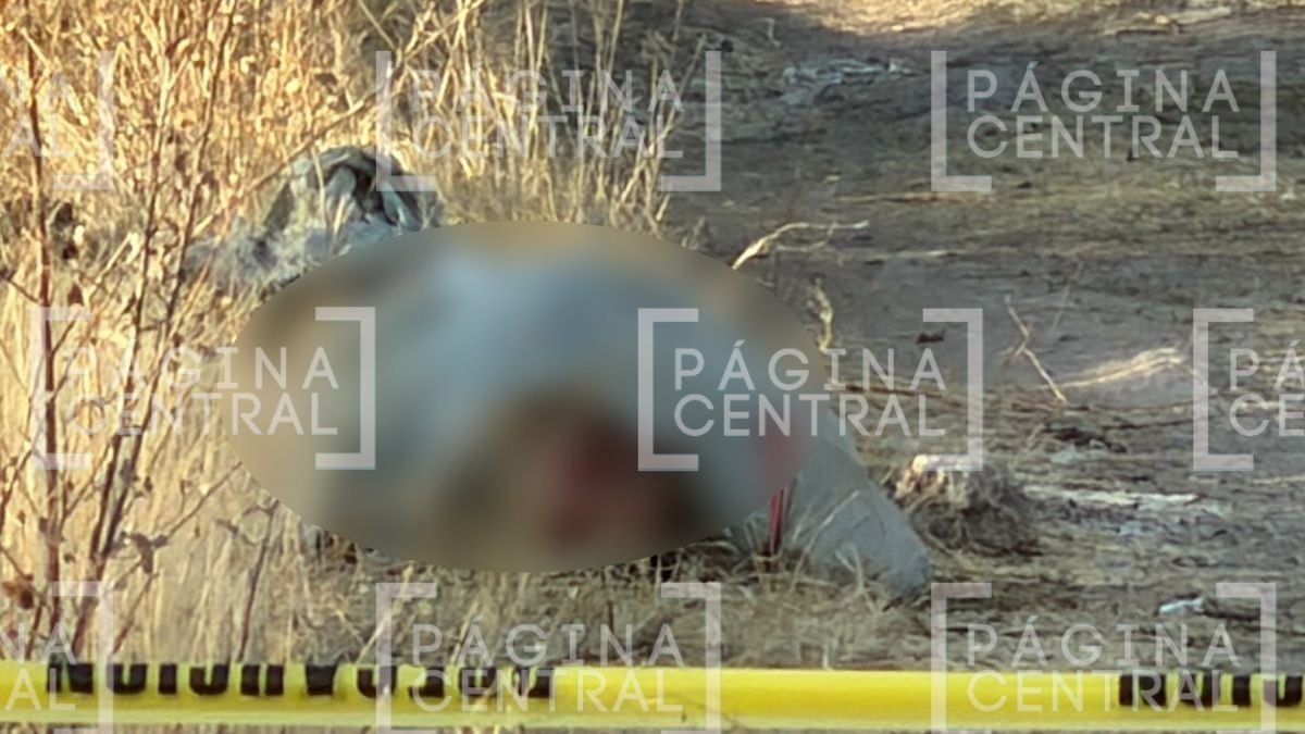 VIDEO Ven ‘bulto’ sospechoso: Vecinos localizan cuerpo con huellas de violencia