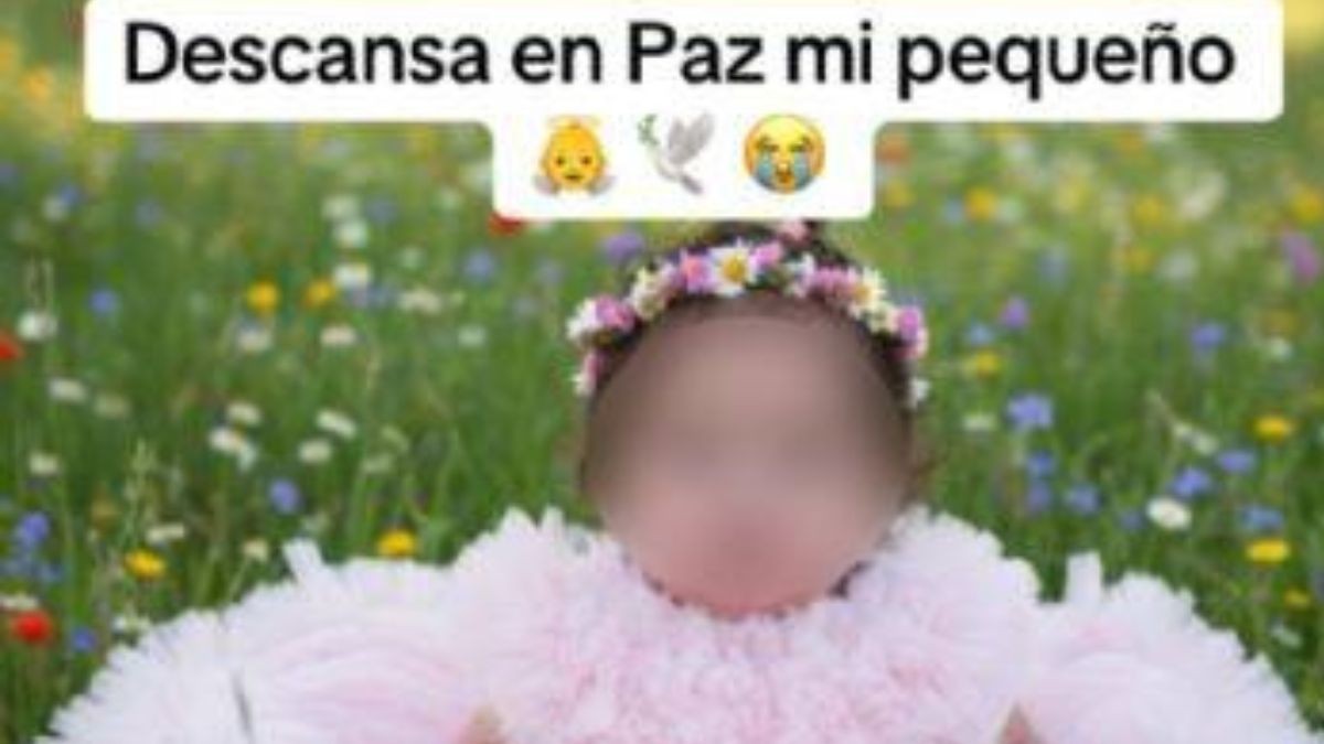 VIDEO Tras padecer grave enfermedad: Muere bebé de querida influencer 