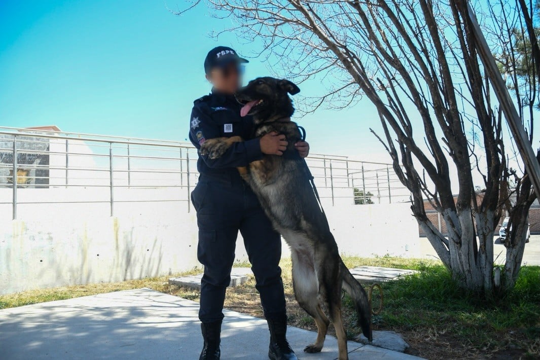 Unidad canina de la policía del Estado; Laura y Rocío orgullosas de dirigir a los binomios