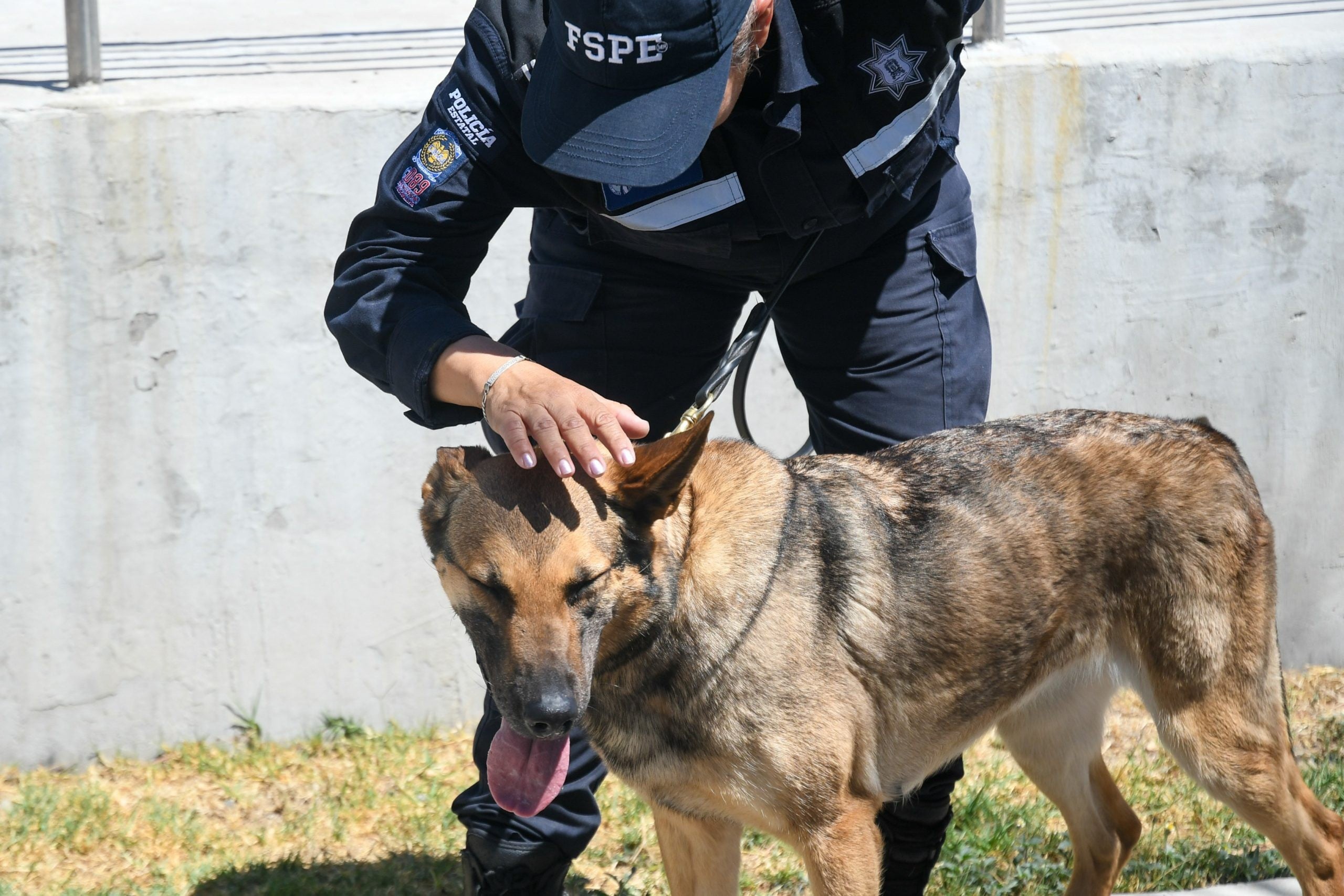 Rocío es la encargada de la Unidad Canina de las Fuerzas del Estado