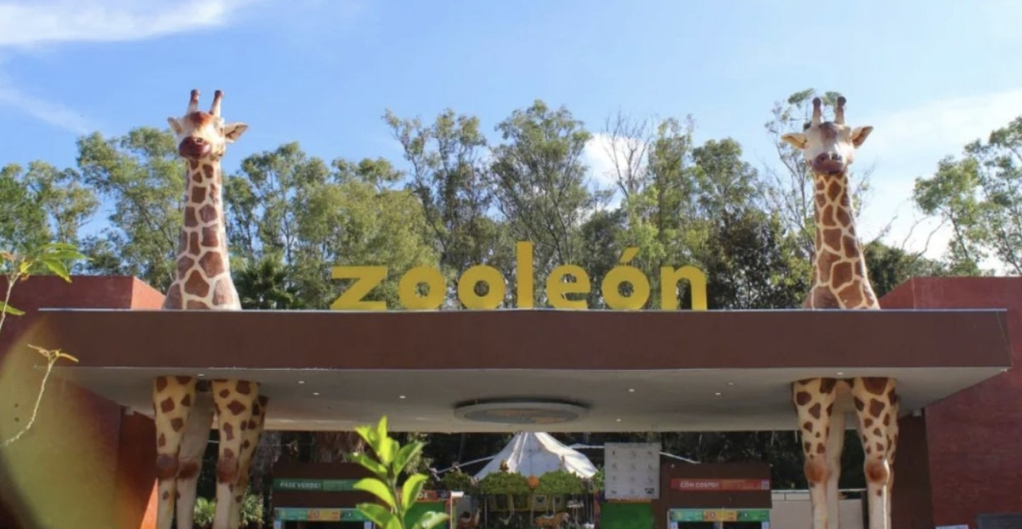 Gobierno de León revisa 15 perfiles para dirigir el Parque Zoológico