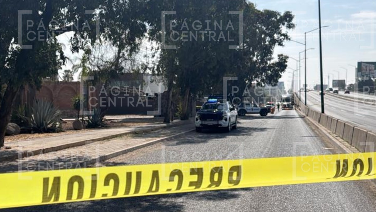 Muerto en la Silao-León