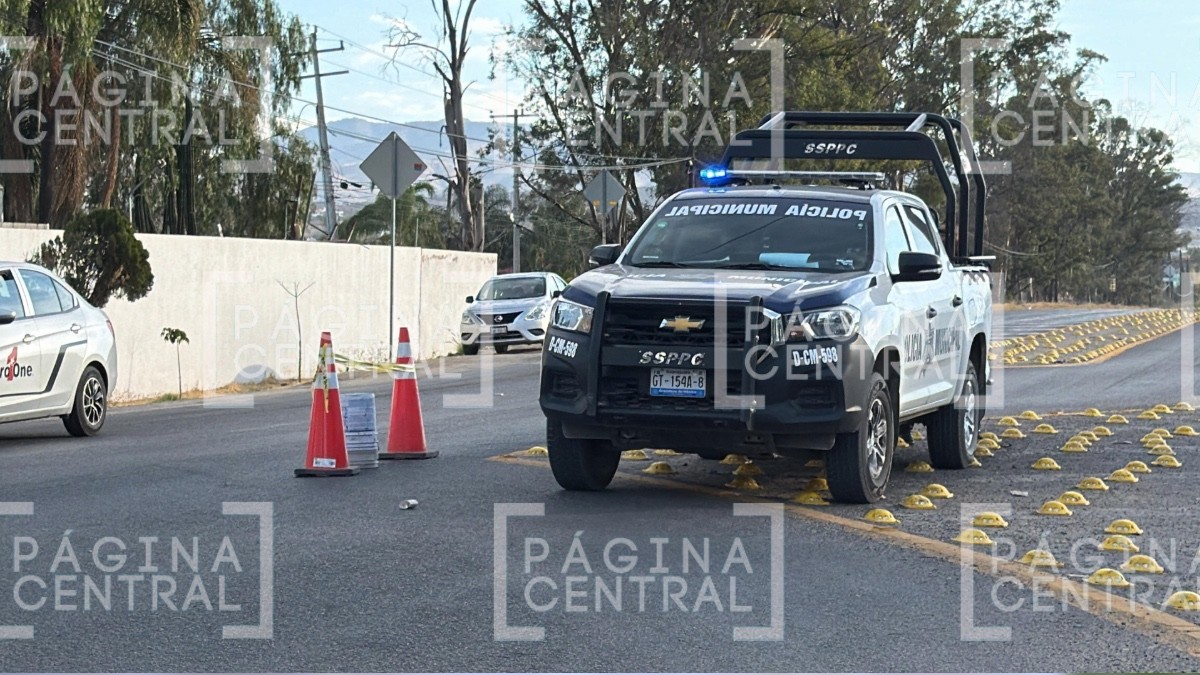 Hallan una mano humana en camellón de la carretera León-Comanjilla Hallan una mano humana en camellón de la carretera León-Comanjilla