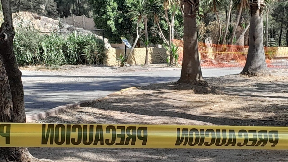 Busca Municipio solventar fallos tras clausura del Zoológico de León