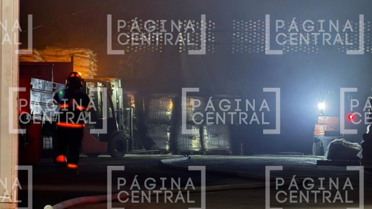 Incendio en curtidoría moviliza a bomberos en León