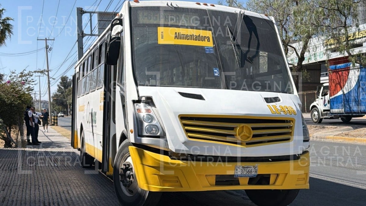 Abuelito murió en la ruta A-65
