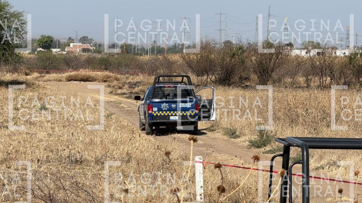 Hallan cuerpo maniatado en camino de terracería en Silao